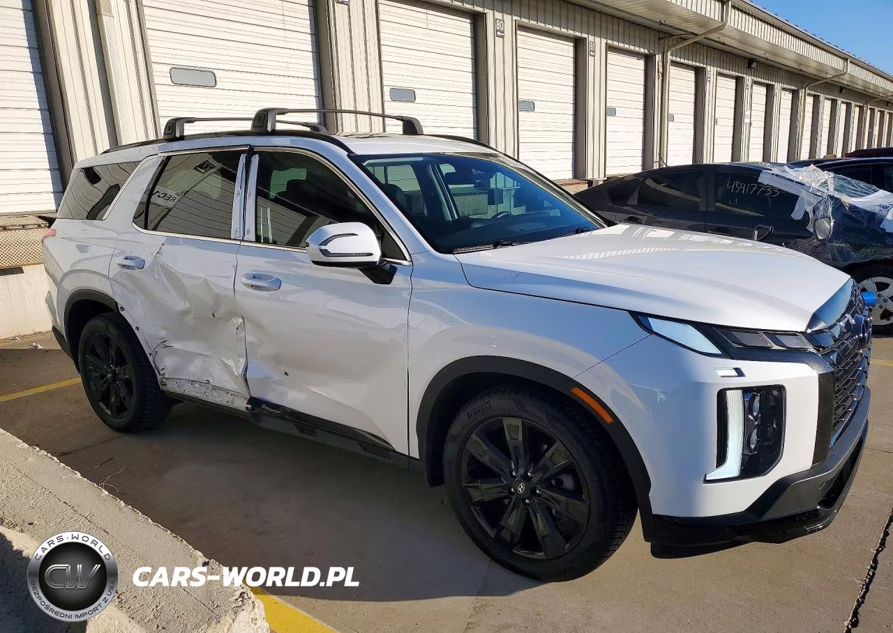 2023 Hyundai Palisade Xrt VIN:KM8R34GE8PU585383 - 4