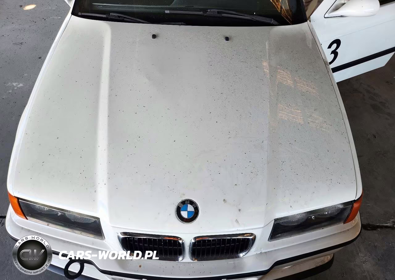 1997 BMW M3 VIN:WBSCD9320VEE06062 - 11