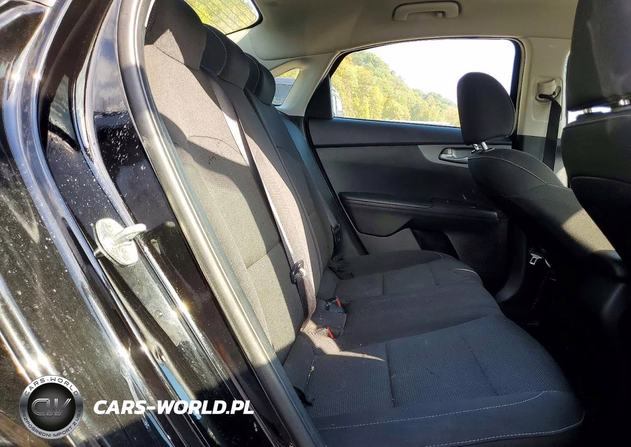 2020 KIA FORTE FE VIN:3KPF24ADXLE241721 - 10