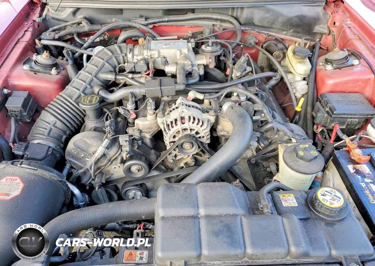 2004 Ford Mustang Gt VIN:1FAFP42X74F119311 - 11