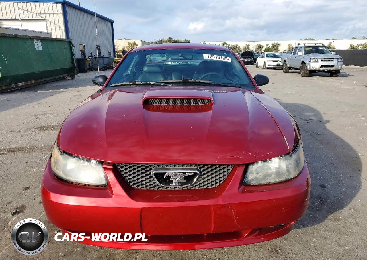 2004 Ford Mustang Gt VIN:1FAFP42X74F119311 - 5