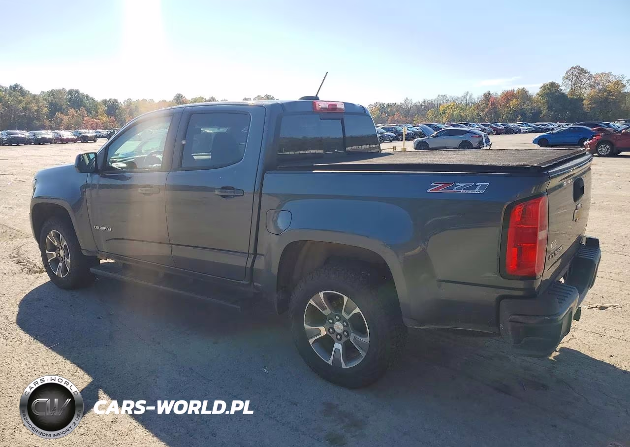 2015 Chevrolet Colorado Z71 VIN:1GCGTCE33F1254797 - 2