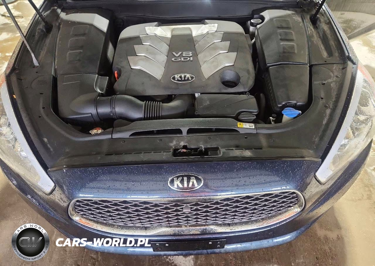 2015 Kia K900 Premium VIN:KNALU4D44F6026254 - 11