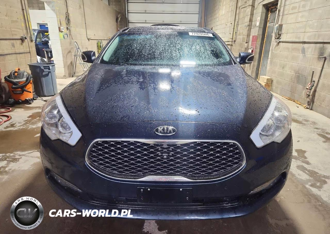 2015 Kia K900 Premium VIN:KNALU4D44F6026254 - 5