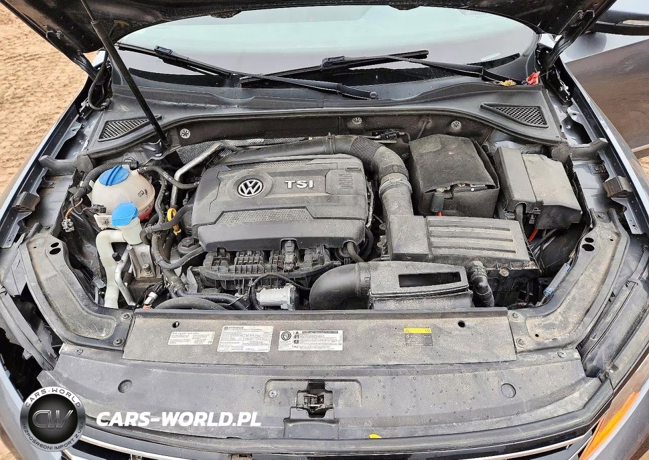 2017 Volk Passat R-L VIN:1VWDT7A32HC019246 - 11