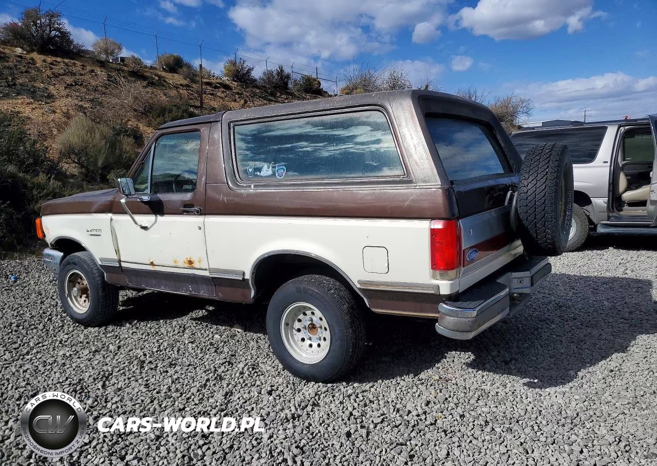 1990 Ford Bronco U100 VIN:1FMEU15N7LLB28500 - 2