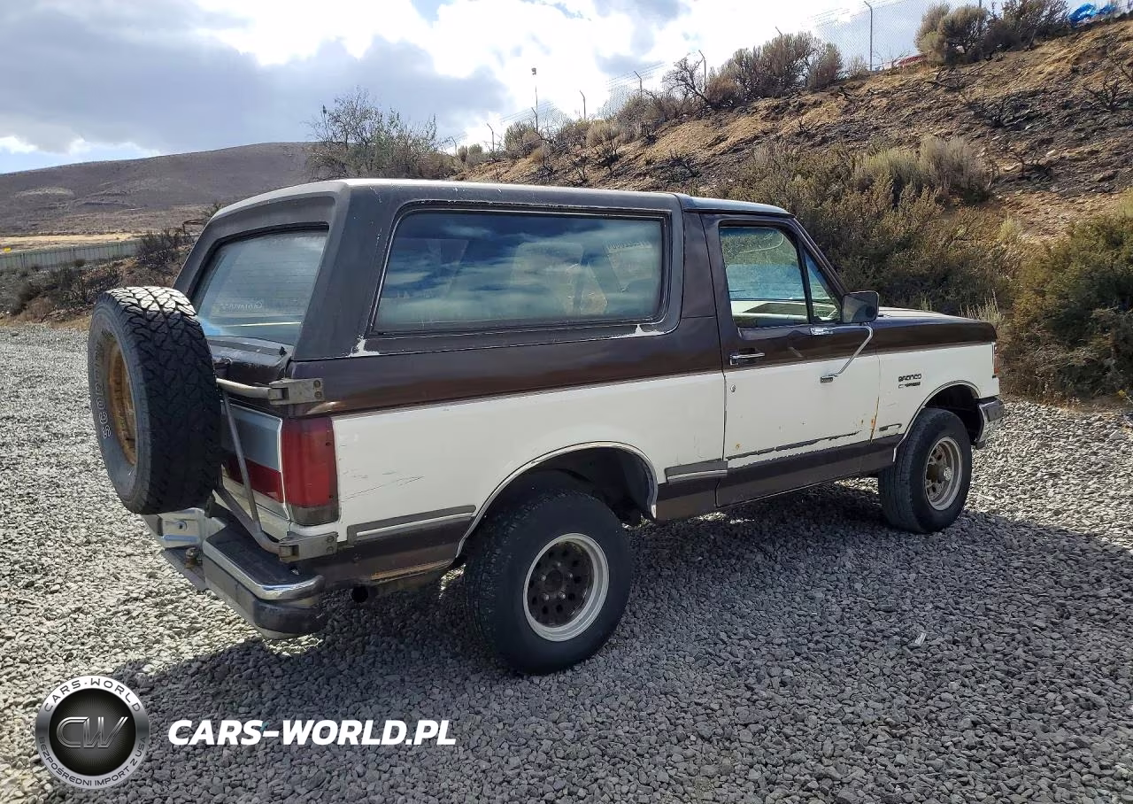1990 Ford Bronco U100 VIN:1FMEU15N7LLB28500 - 3