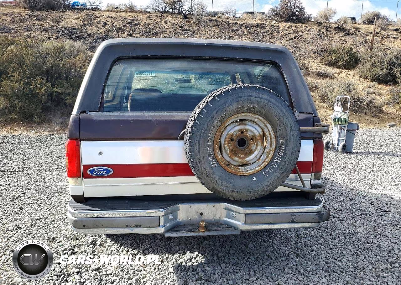 1990 Ford Bronco U100 VIN:1FMEU15N7LLB28500 - 6