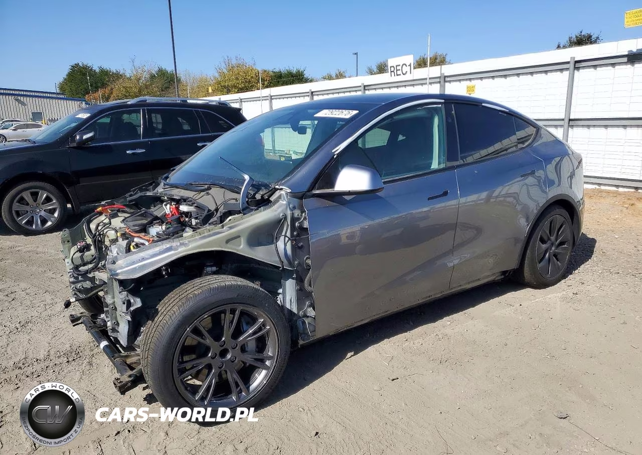 2024 Tesla Model Y