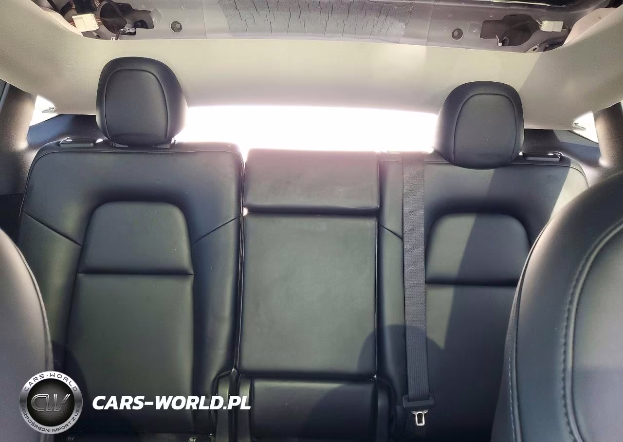 2024 Tesla Model Y VIN:7SAYGDED7RF211585 - 10