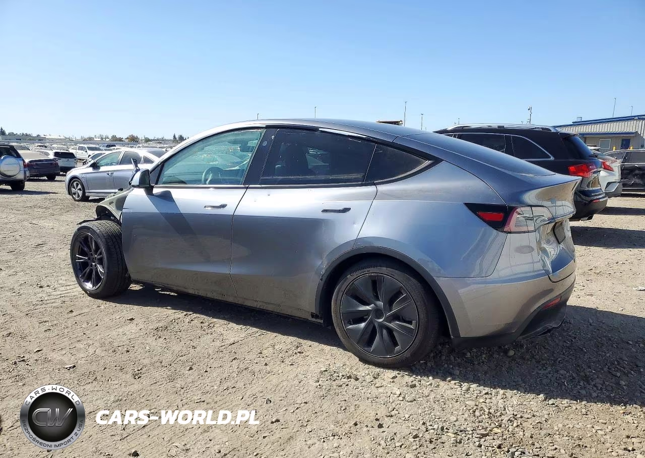 2024 Tesla Model Y VIN:7SAYGDED7RF211585 - 2