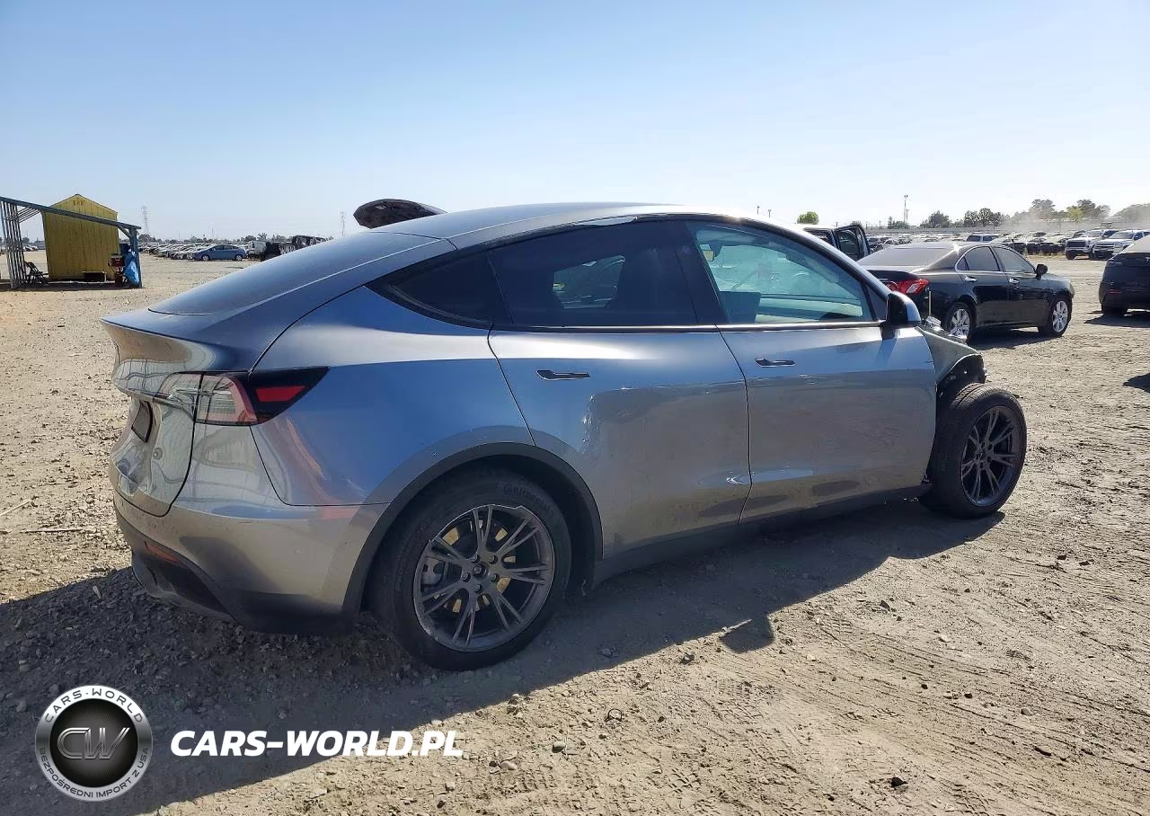 2024 Tesla Model Y VIN:7SAYGDED7RF211585 - 3