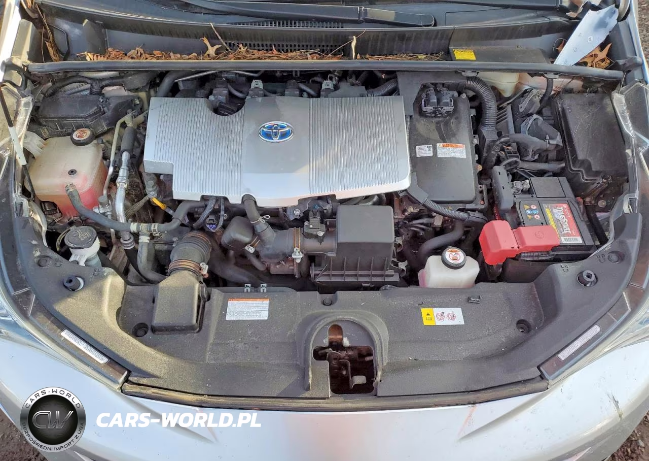 2016 Toyota Prius VIN:JTDKARFU9G3524535 - 11