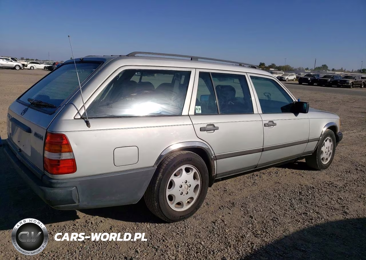 1987 Mercedes-Benz 300 Tdt VIN:WDBEB93D1HF020171 - 3