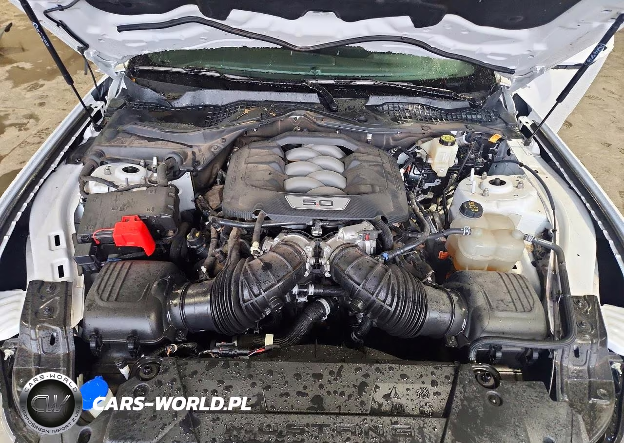 2024 Ford Mustang Gt VIN:1FA6P8CF2R5410017 - 11