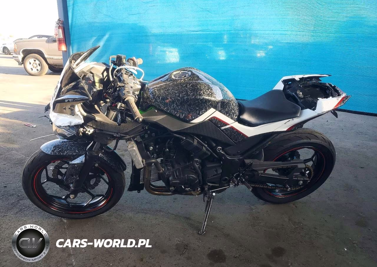 2014 Kawasaki Ex300 A VIN:JKAEX8A16EA008932 - 3