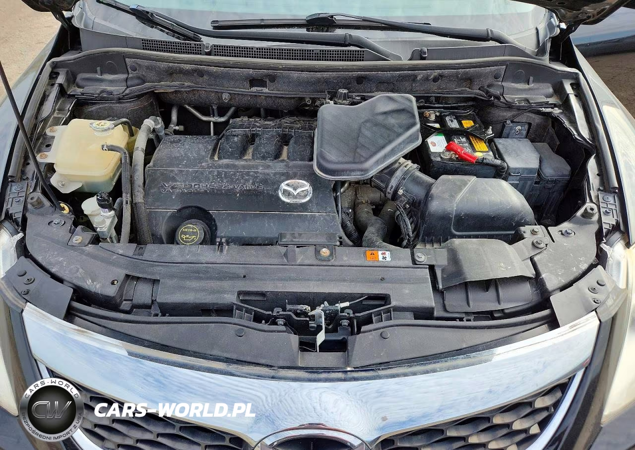 2010 Mazda Cx-9 VIN:JM3TB3MA5A0238673 - 12