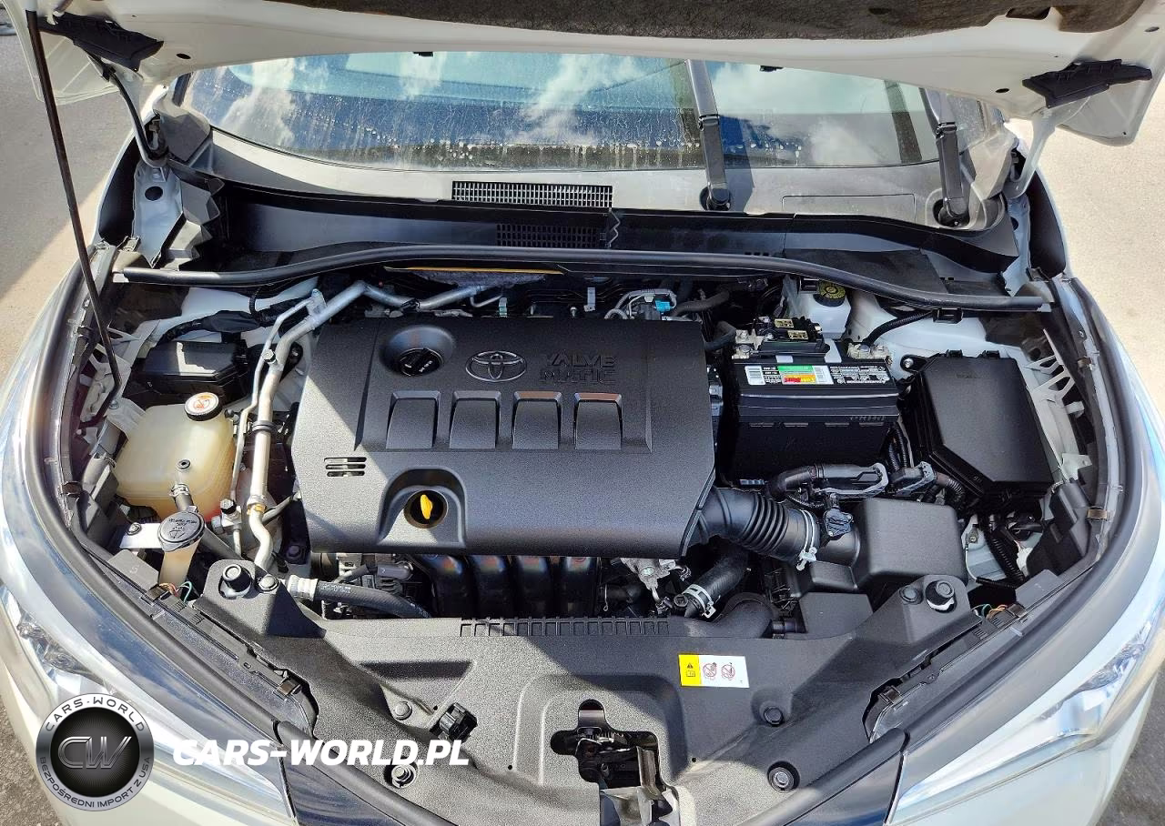 2019 Toyota C-Hr Le VIN:JTNKHMBX9K1026950 - 12