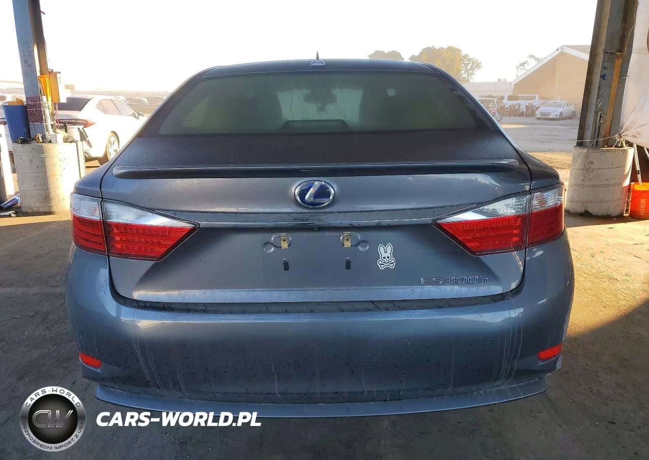 2014 Lexus Es 300H VIN:JTHBW1GG8E2054883 - 6