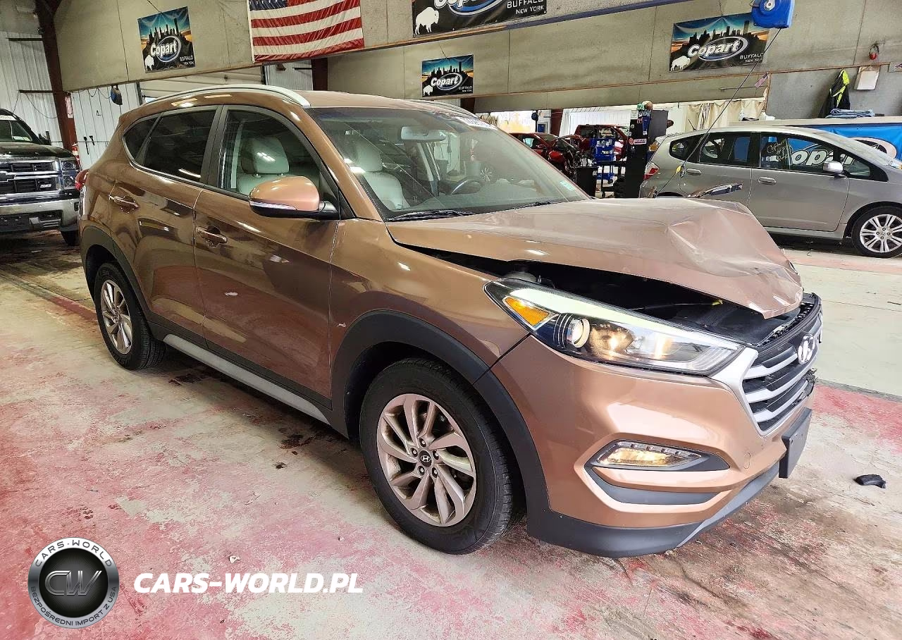 2017 Hyundai Tucson Se Plus VIN:KM8J3CA41HU452649 - 4