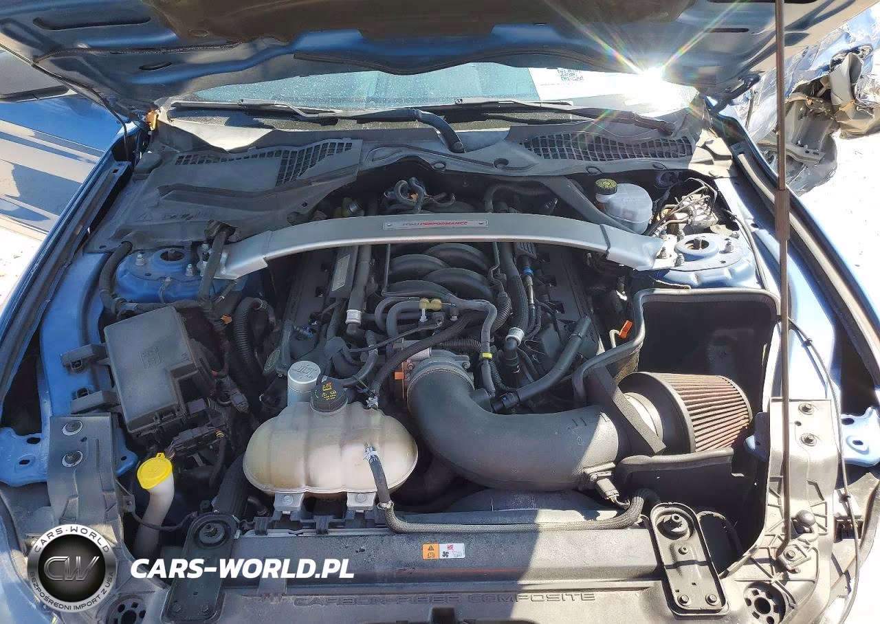 2019 Ford Mustang Shelby Gt350 VIN:1FA6P8JZ9K5550472 - 11