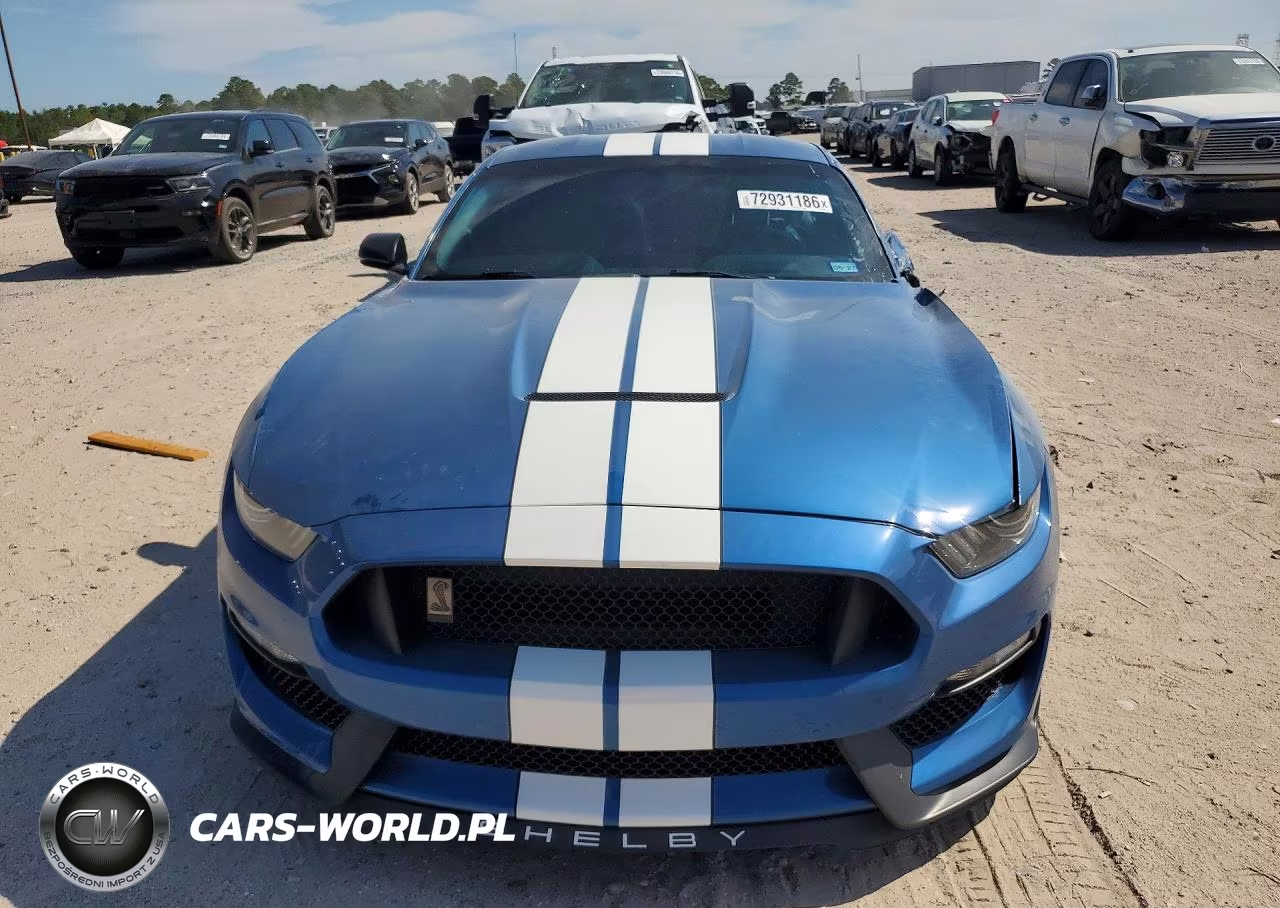 2019 Ford Mustang Shelby Gt350 VIN:1FA6P8JZ9K5550472 - 5