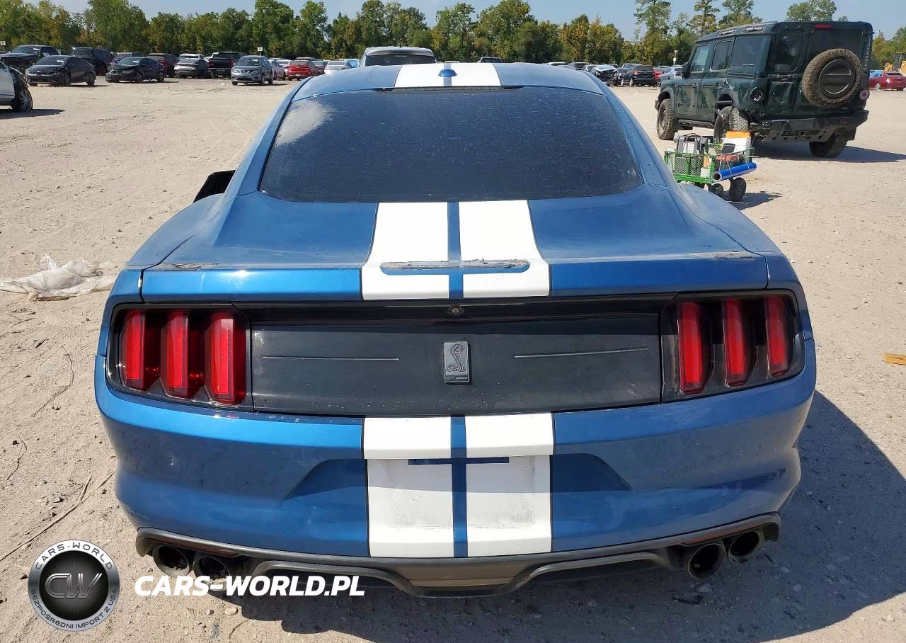 2019 Ford Mustang Shelby Gt350 VIN:1FA6P8JZ9K5550472 - 6