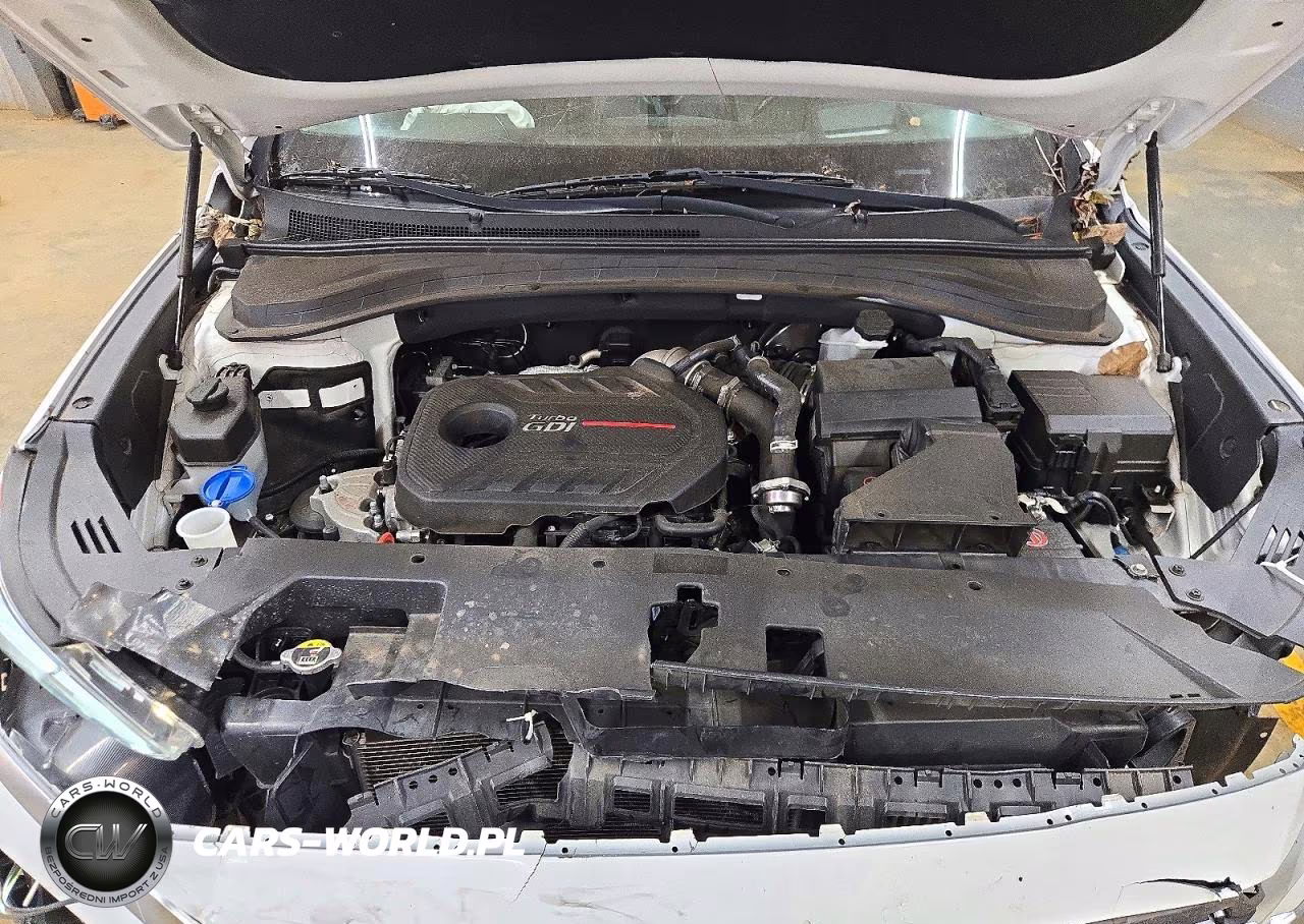 2019 Hyundai Santa Fe Ultimate 2.0T VIN:5NMS53AA6KH033347 - 12