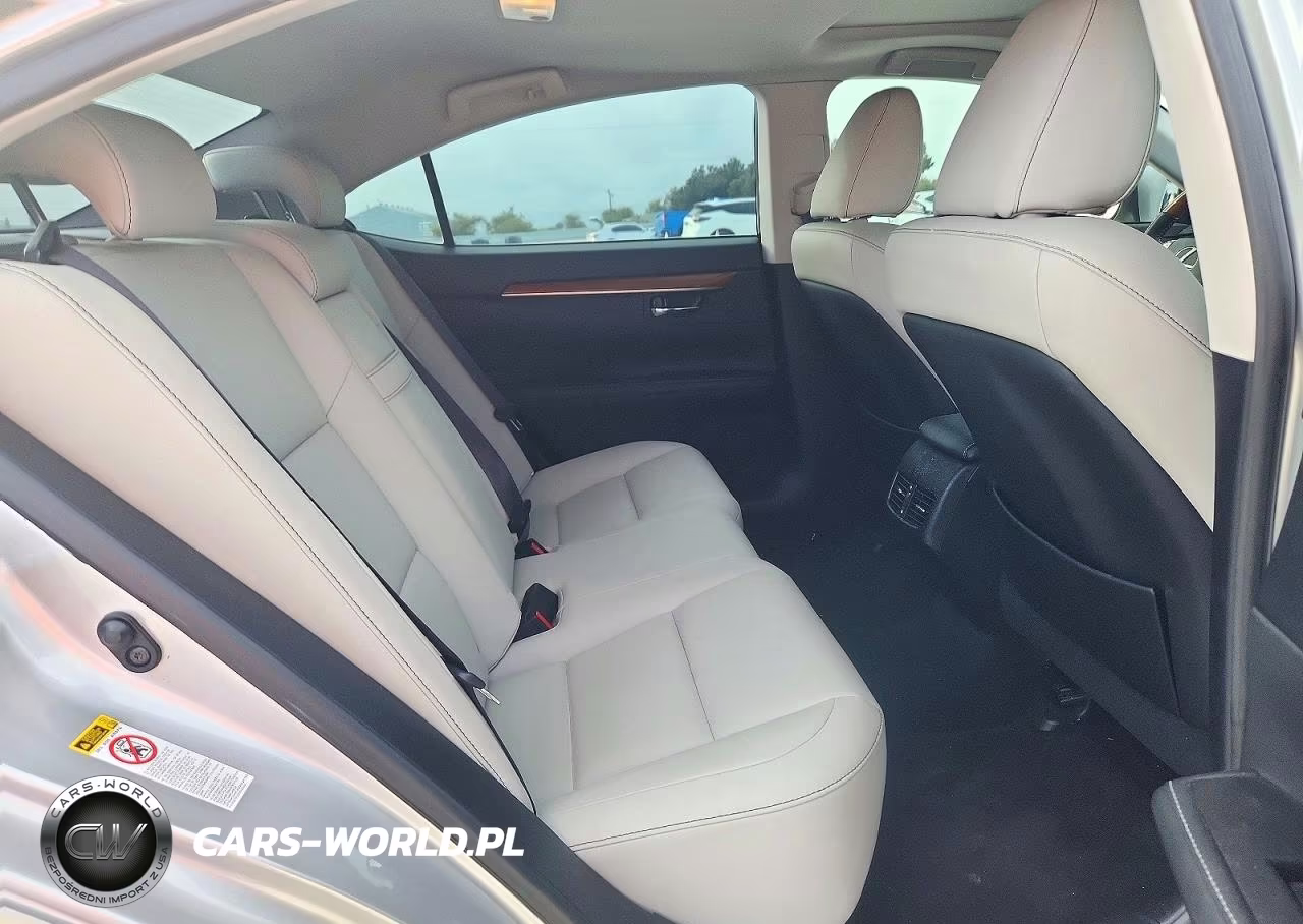 2013 Lexus Es 300H VIN:JTHBW1GG7D2029651 - 10