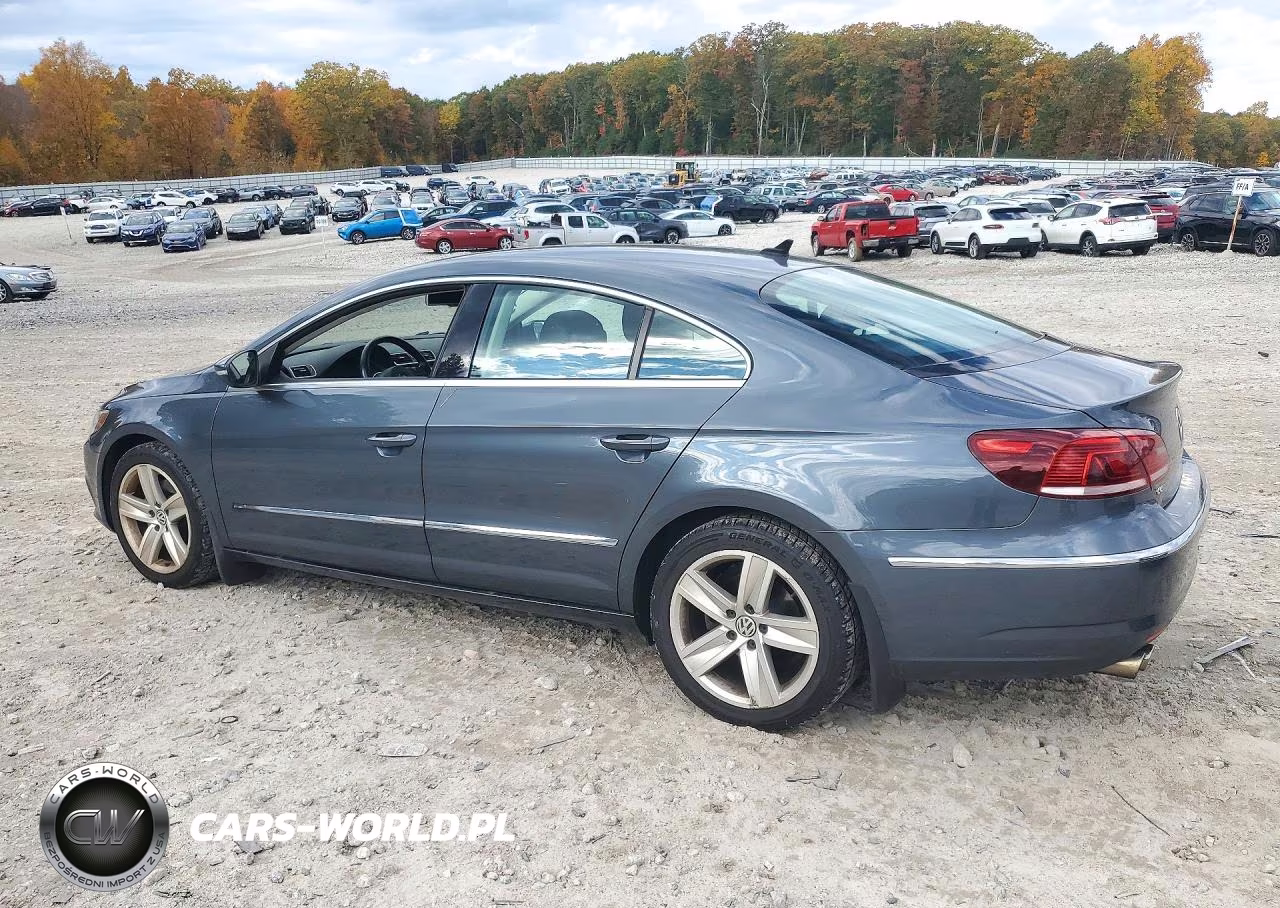 2013 Volkswagen Cc Sport VIN:WVWBP7AN8DE558453 - 2