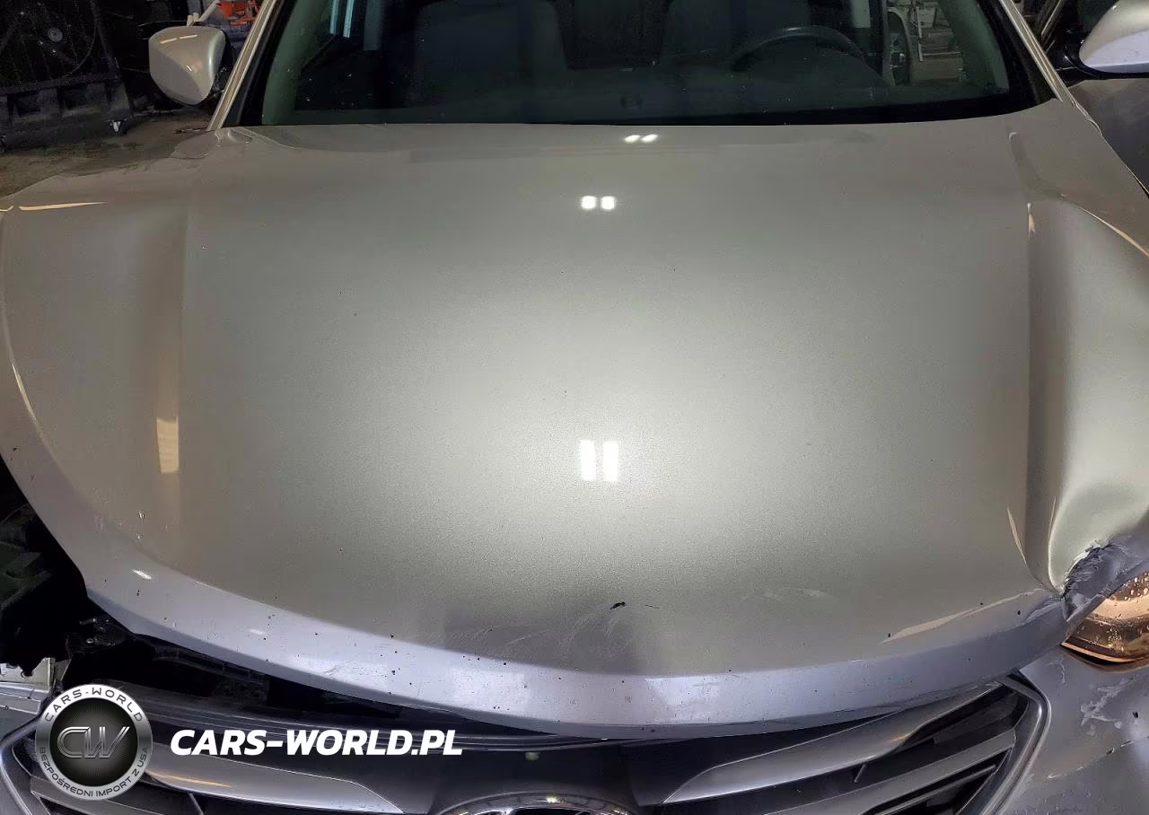 2017 Hyundai Santa Fe Sport 2.4L VIN:5XYZT3LB9HG496872 - 11