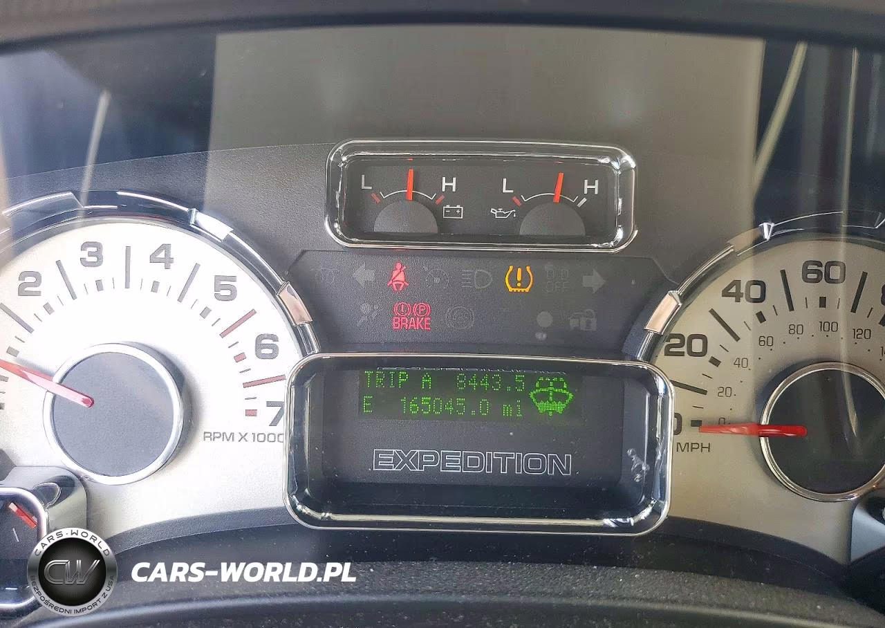 2007 Ford Expedition Eddie Bauer VIN:1FMFU18597LA53434 - 9