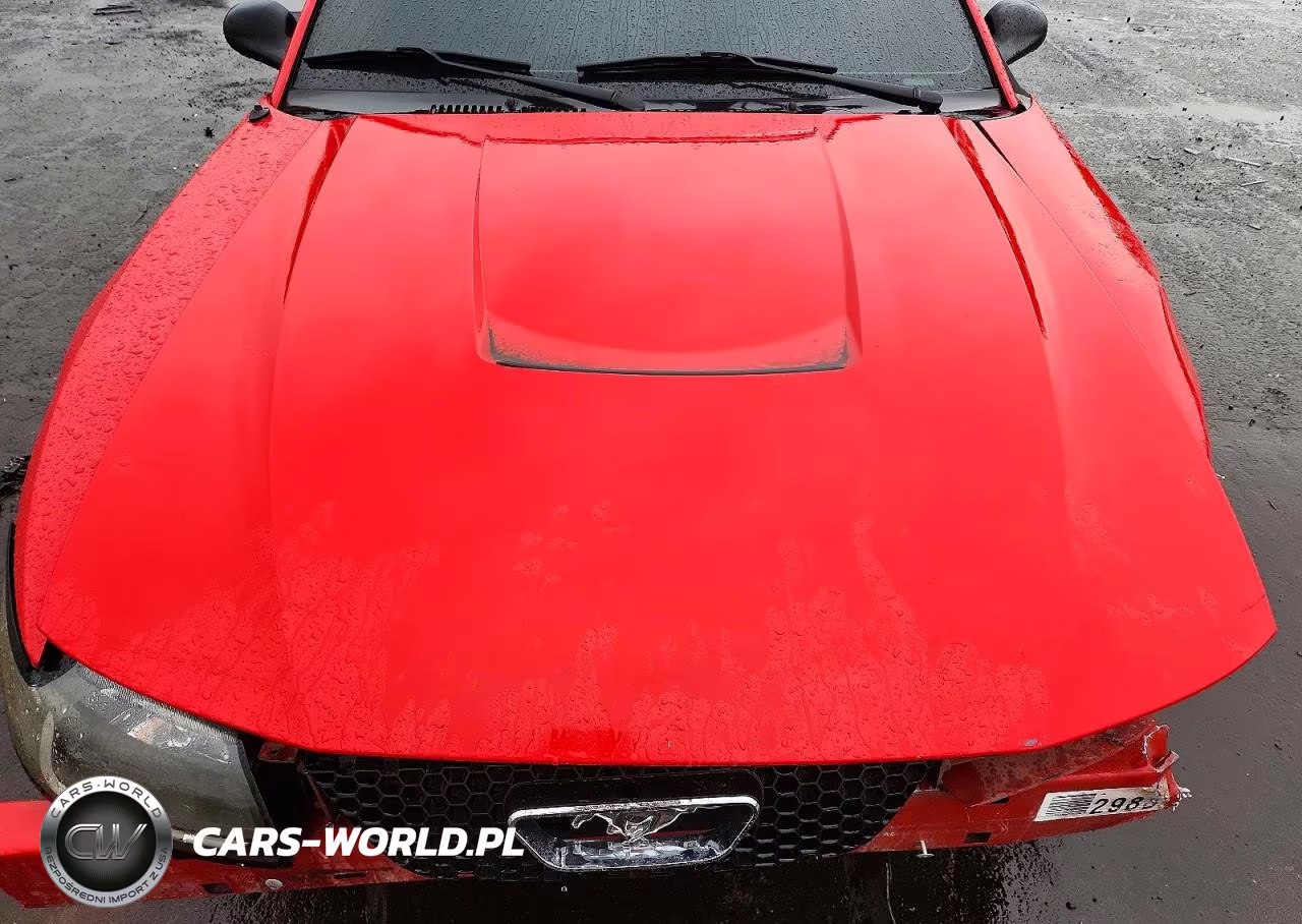 2003 Ford Mustang VIN:1FAFP44433F387239 - 11