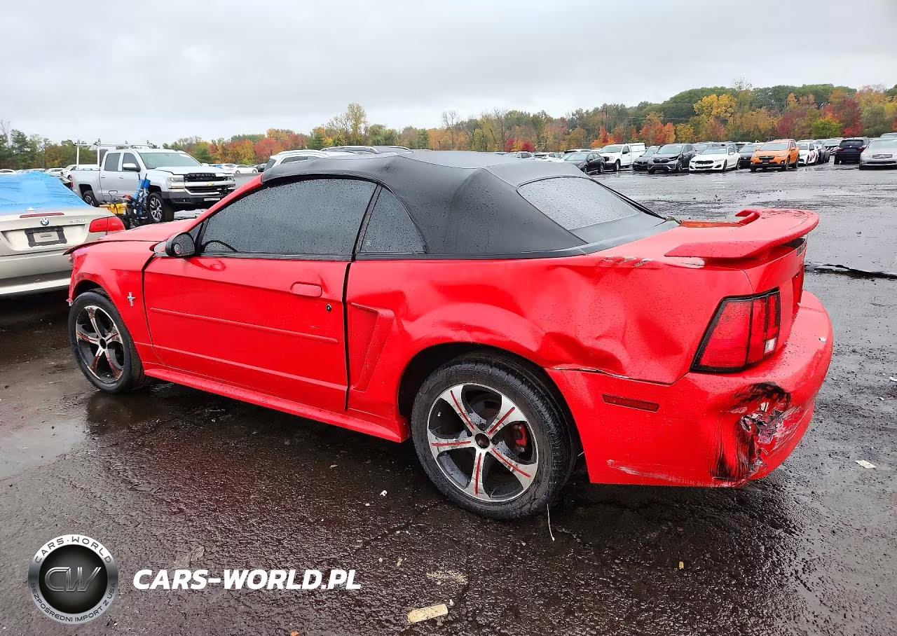 2003 Ford Mustang VIN:1FAFP44433F387239 - 2