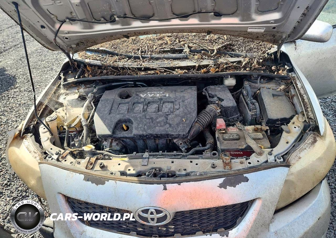 2010 Toyota Corolla Le VIN:1NXBU4EE0AZ343650 - 11