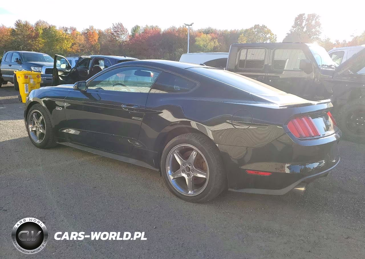 2015 Ford Mustang Gt VIN:1FA6P8CFXF5390207 - 2