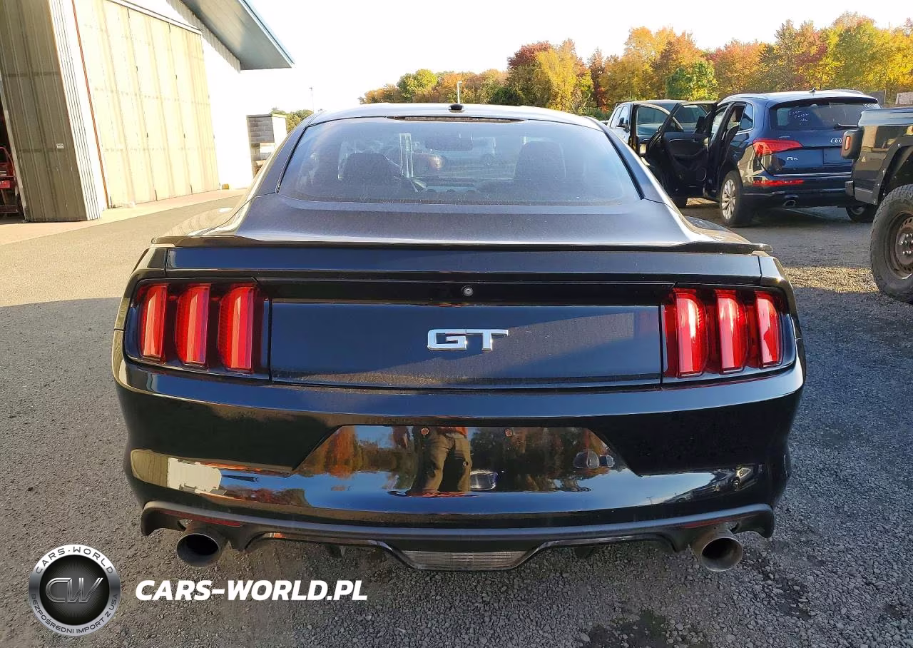 2015 Ford Mustang Gt VIN:1FA6P8CFXF5390207 - 6