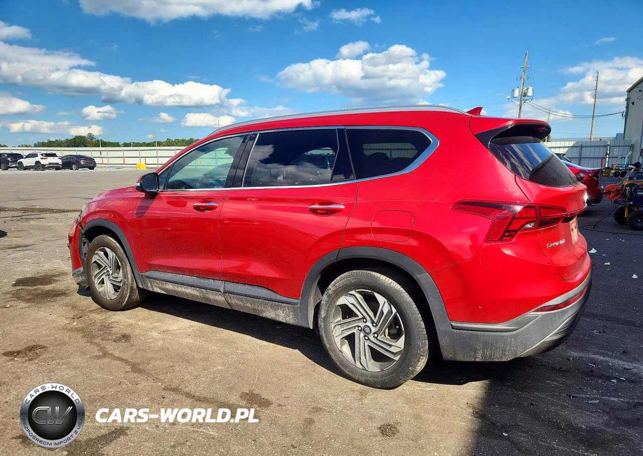 2023 Hyundai Santa Fe Sel VIN:5NMS24AJ1PH521532 - 2
