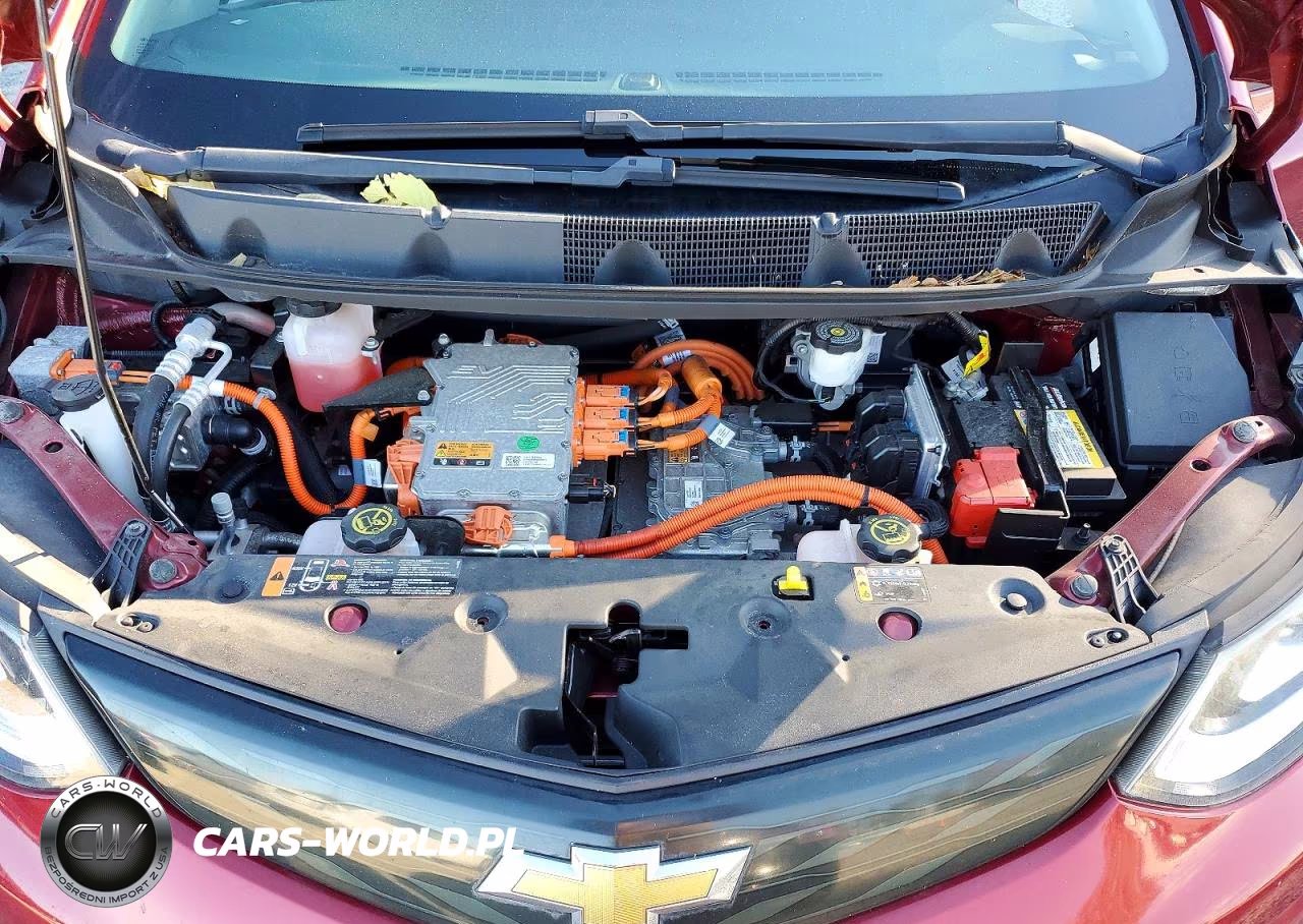 2017 Chevrolet Bolt Ev Lt VIN:1G1FW6S07H4135885 - 12