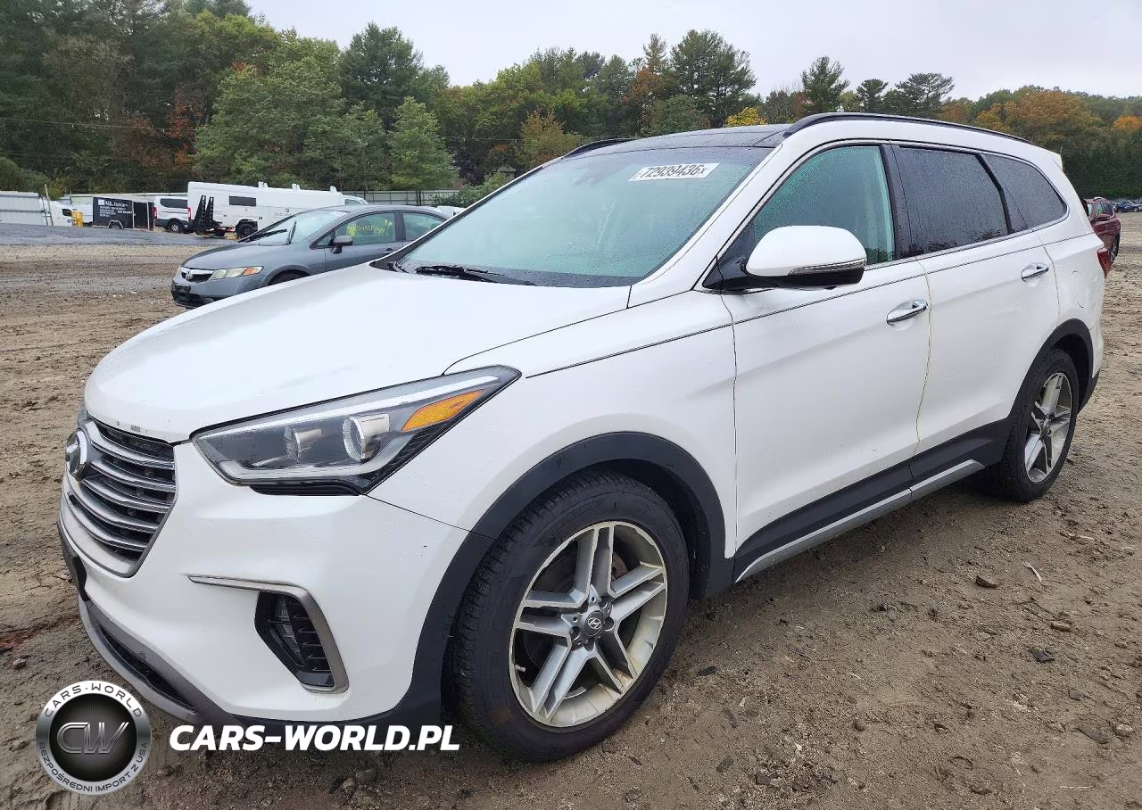 2017 Hyundai Santa Fe Limited Ultimate VIN:KM8SRDHF6HU181524 - 1