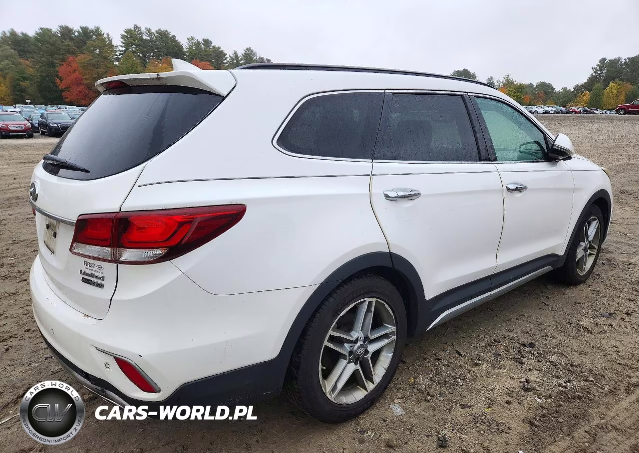 2017 Hyundai Santa Fe Limited Ultimate VIN:KM8SRDHF6HU181524 - 3