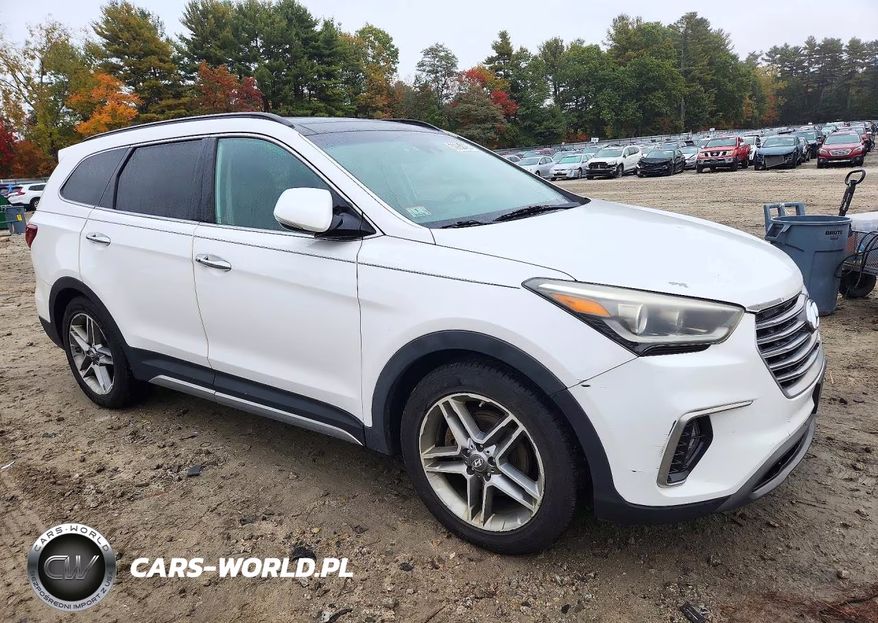 2017 Hyundai Santa Fe Limited Ultimate VIN:KM8SRDHF6HU181524 - 4