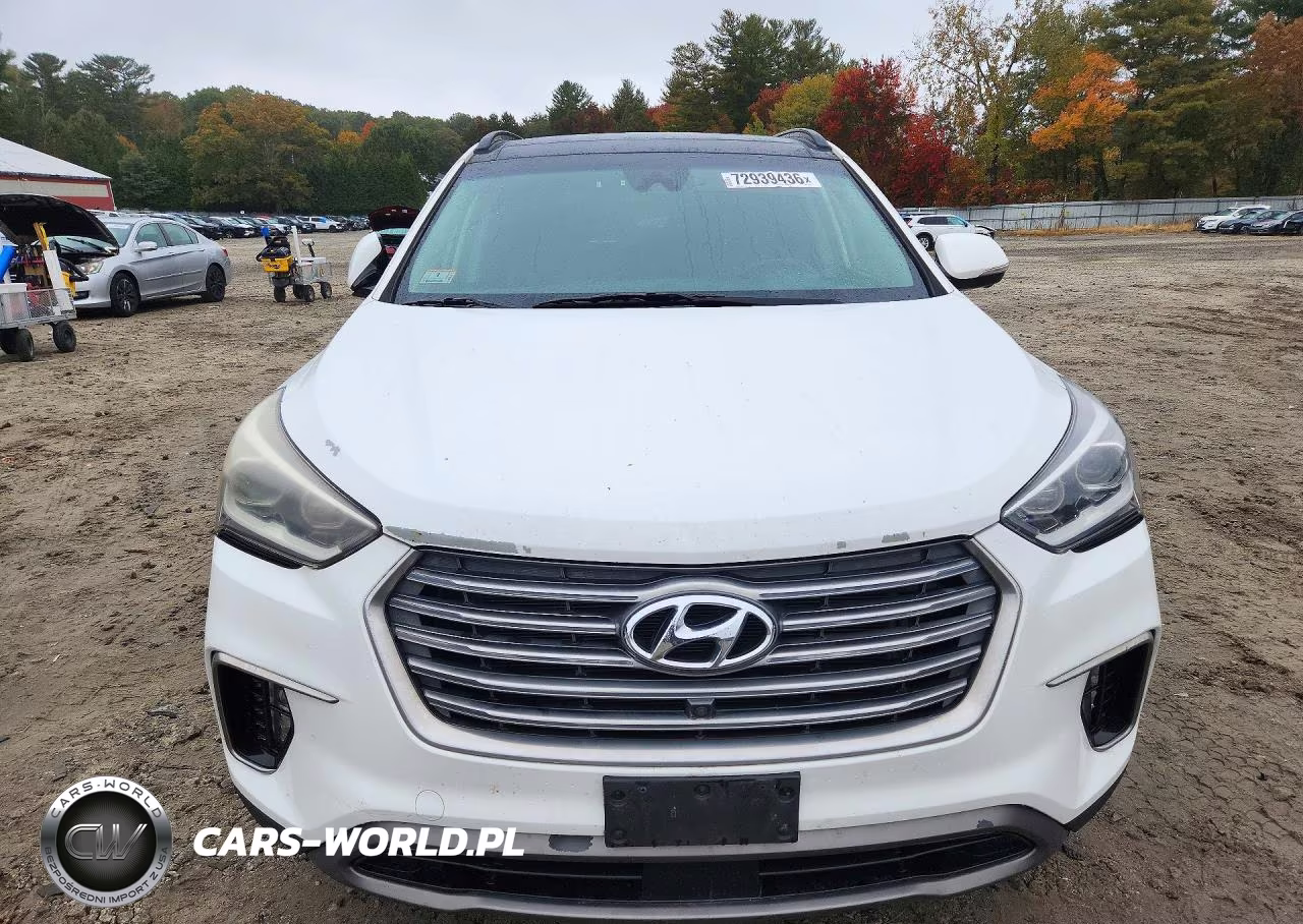 2017 Hyundai Santa Fe Limited Ultimate VIN:KM8SRDHF6HU181524 - 5
