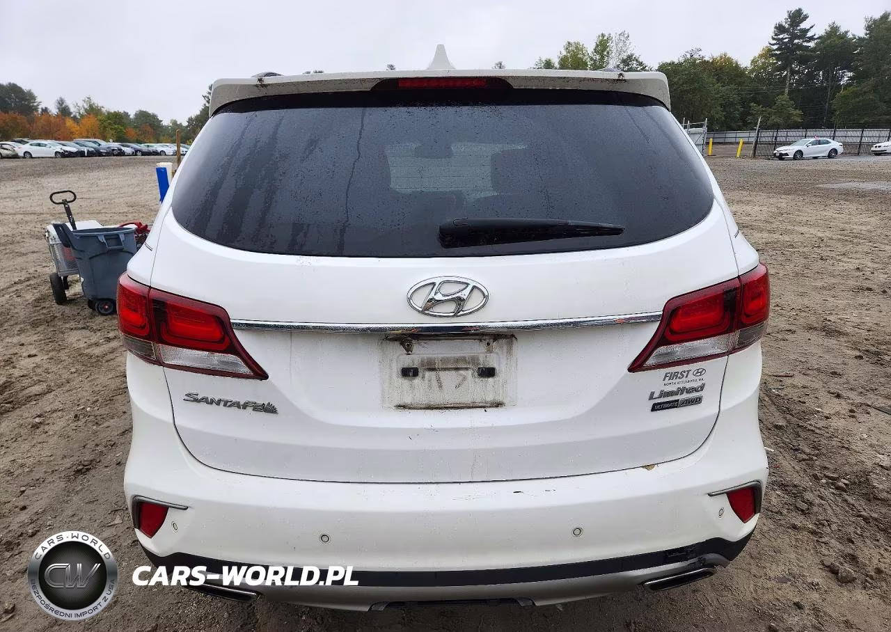 2017 Hyundai Santa Fe Limited Ultimate VIN:KM8SRDHF6HU181524 - 6