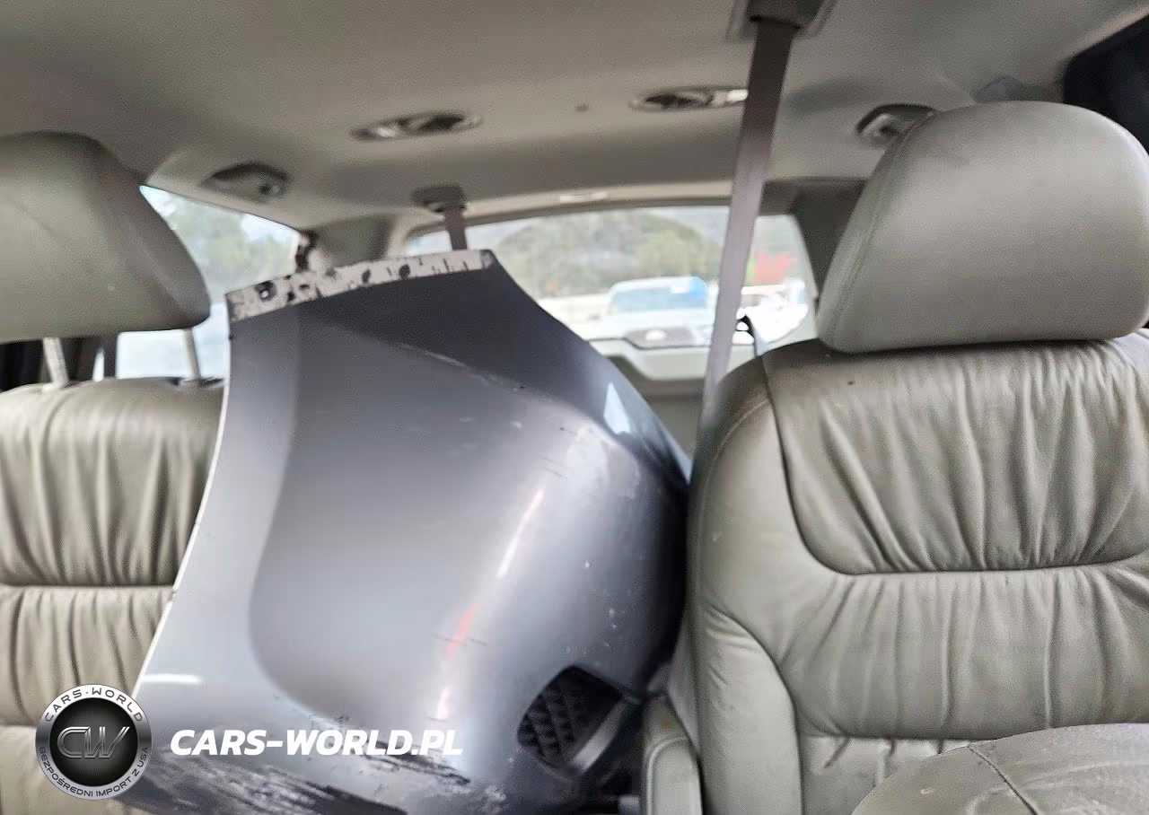 2010 Honda Odyssey Exl VIN:5FNRL3H79AB001197 - 10