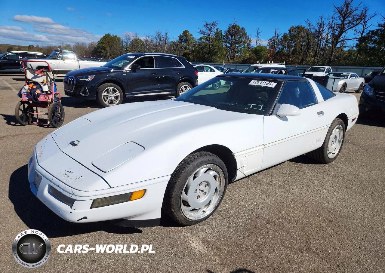 1996 Chevrolet Corvette VIN:1G1YY22P0T5101136 - 1
