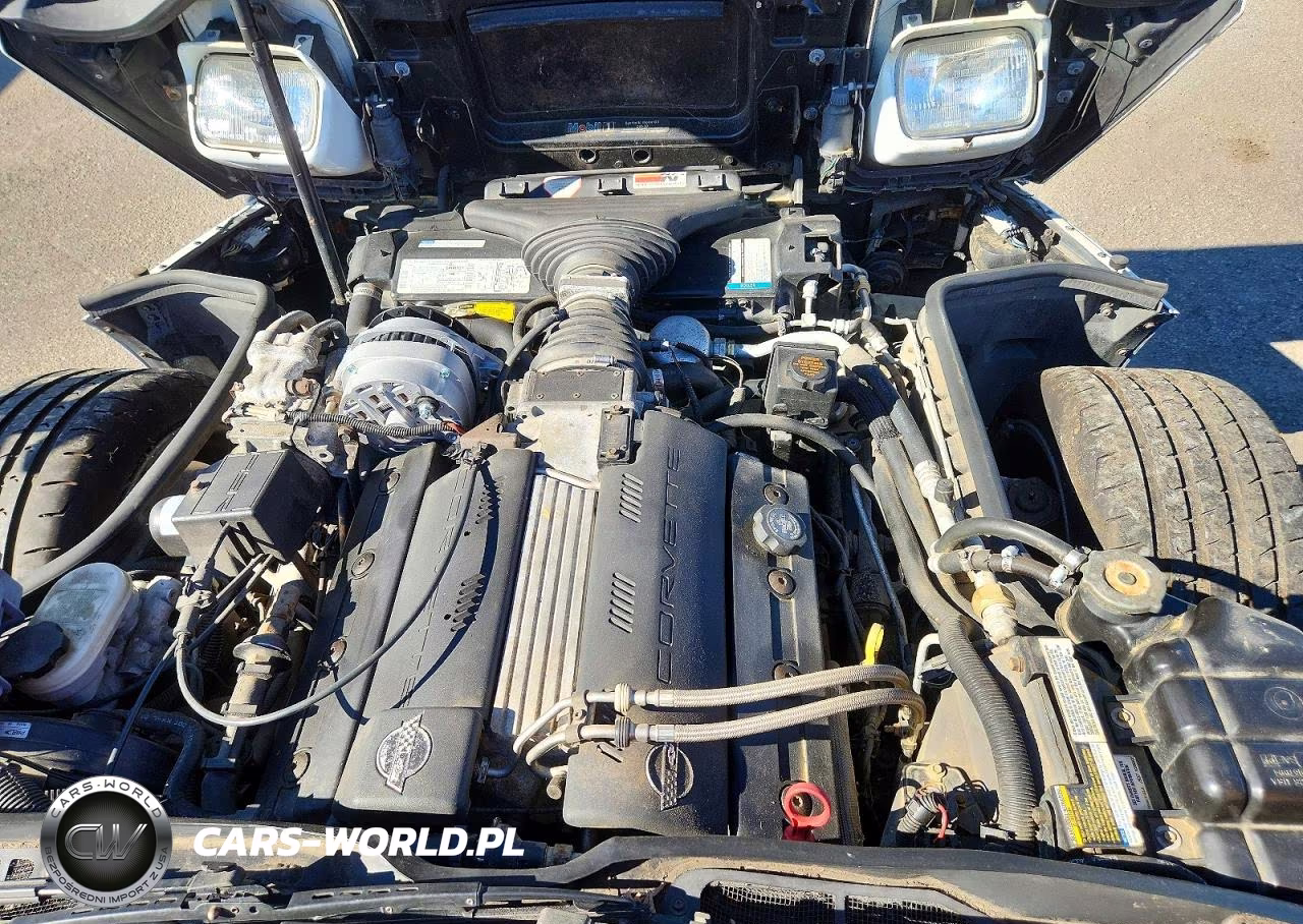 1996 Chevrolet Corvette VIN:1G1YY22P0T5101136 - 11