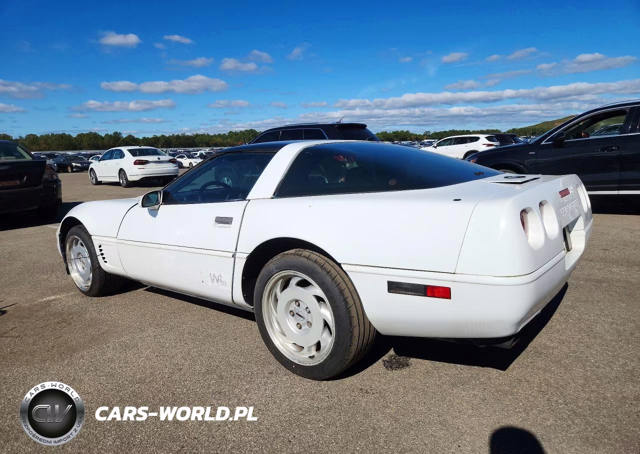 1996 Chevrolet Corvette VIN:1G1YY22P0T5101136 - 2