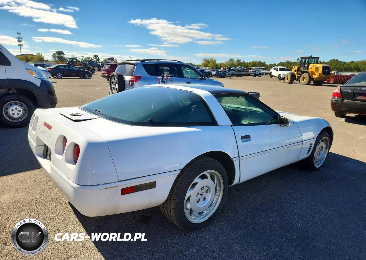 1996 Chevrolet Corvette VIN:1G1YY22P0T5101136 - 3