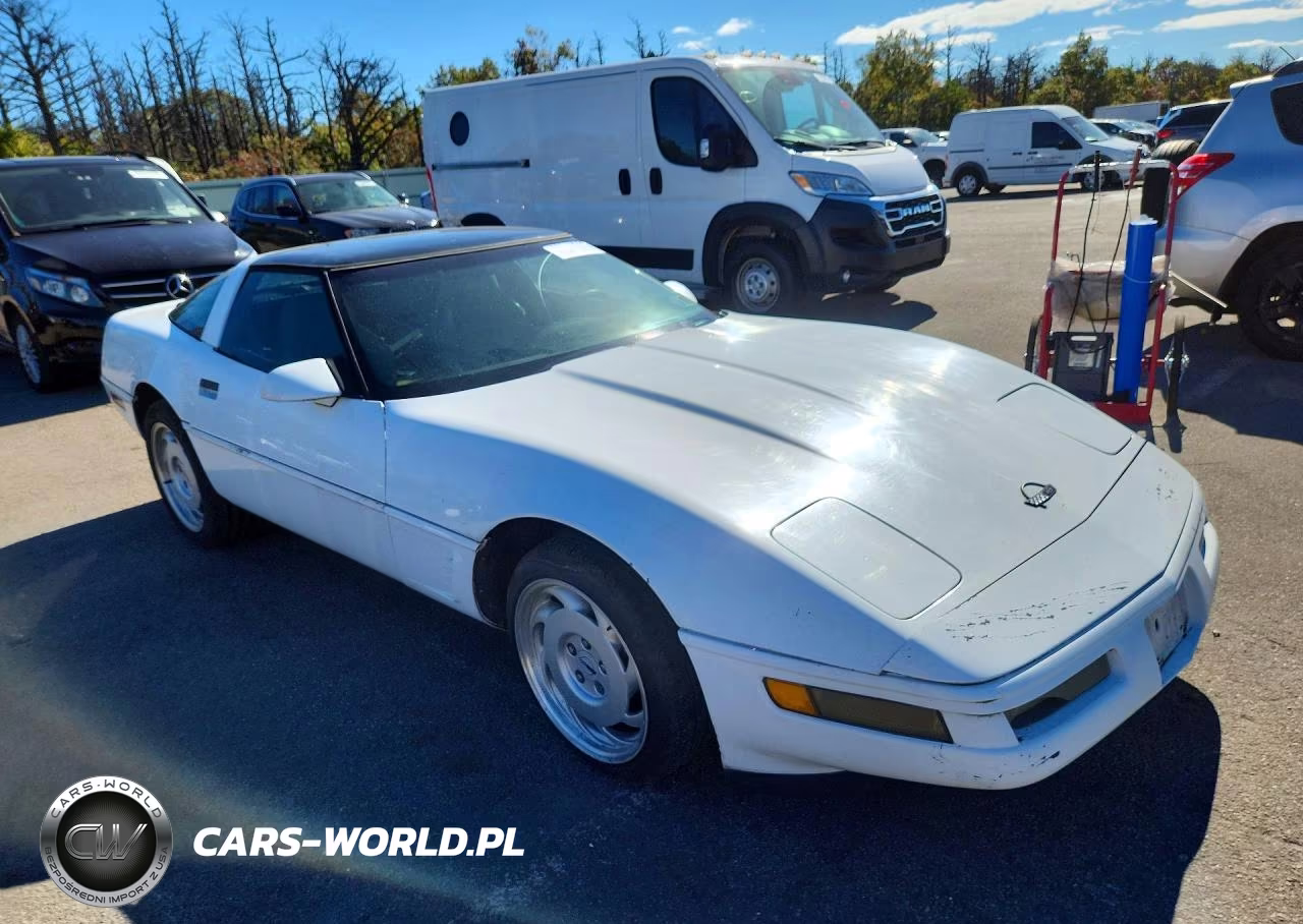 1996 Chevrolet Corvette VIN:1G1YY22P0T5101136 - 4
